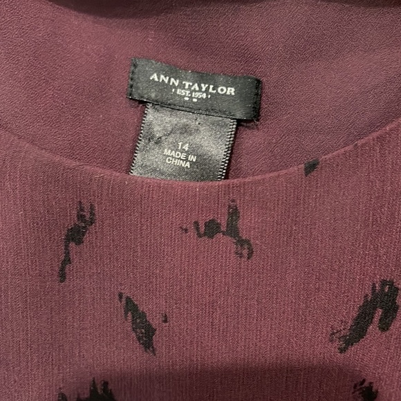 Ann Taylor sleeves too with ruffles. Such a cutie - Picture 2 of 3